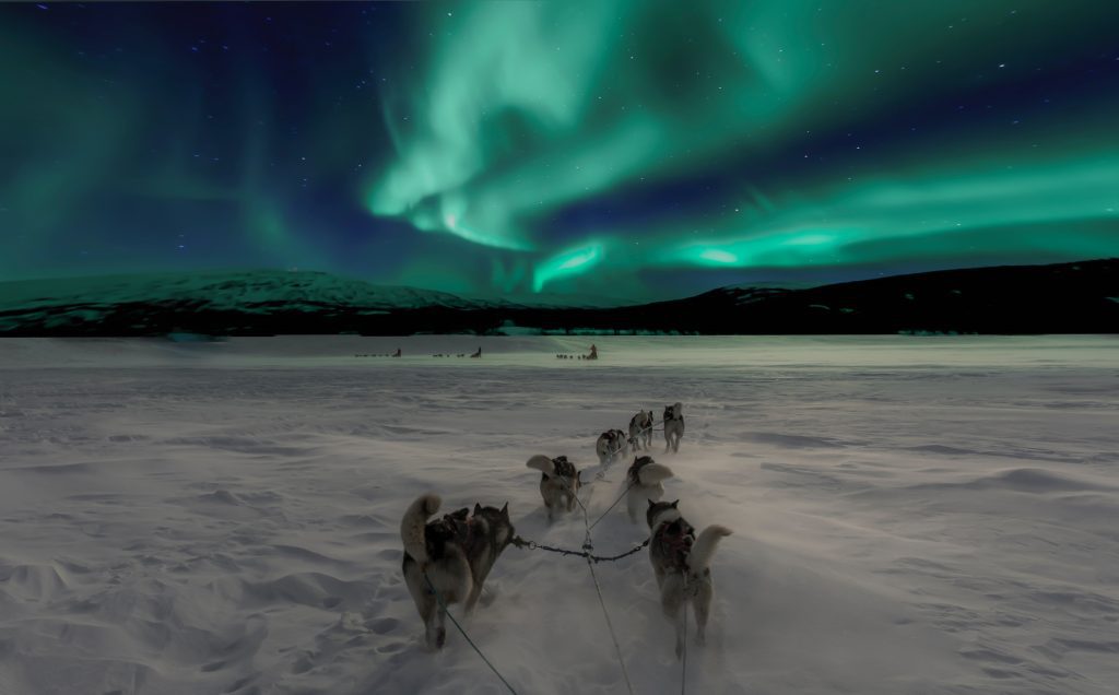 Huskies pulling sled northern lights