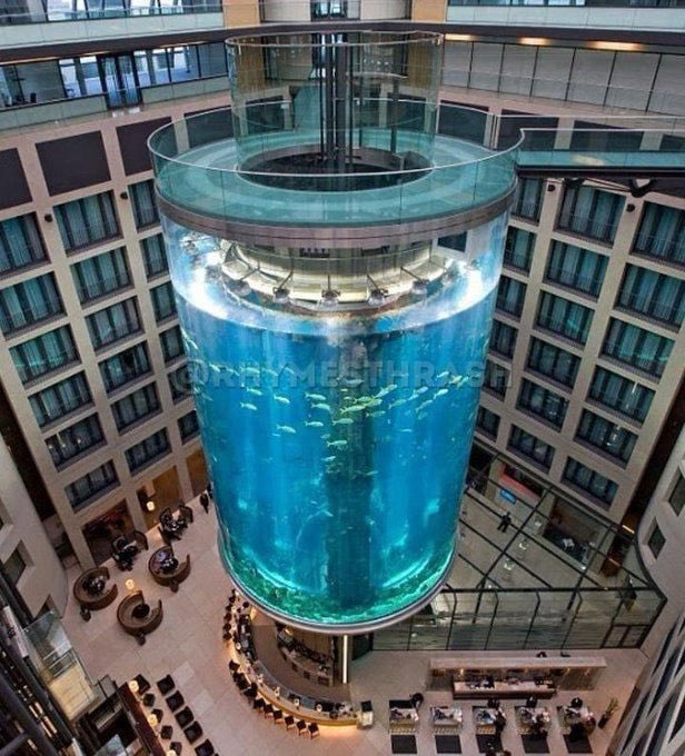 Aquadom Berlin Aquarium