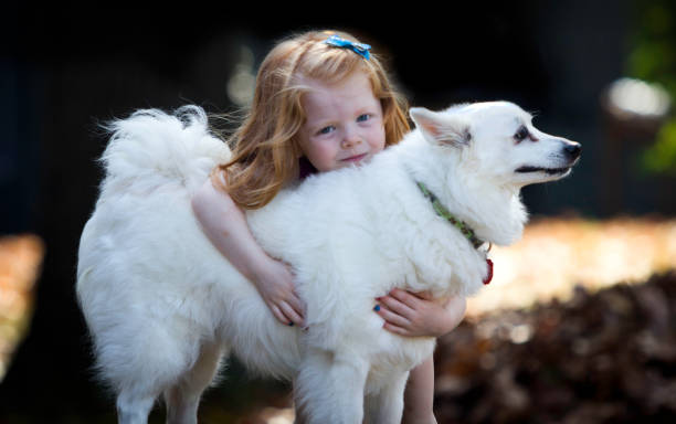 girl hugging American Eskimo Dog