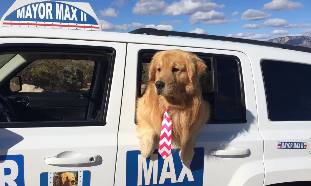 Mayor Max II riding in his truck hanging out the window greeting residents