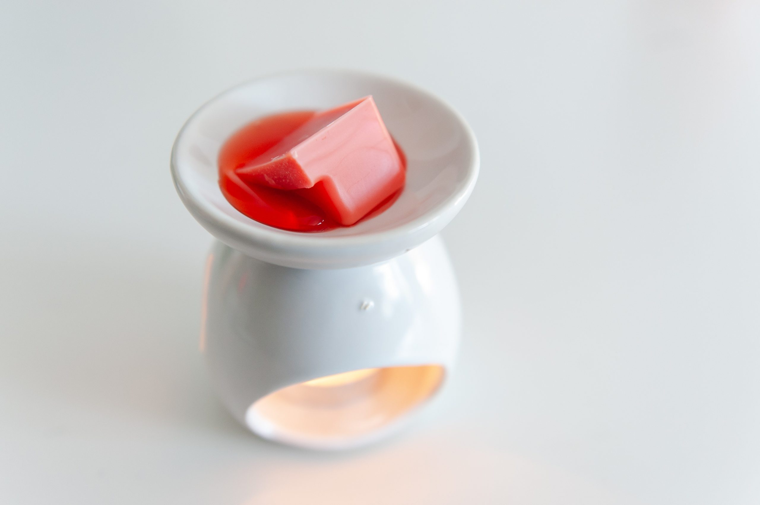Wax warmer for featured image on are wax melts safe for cats and dogs article