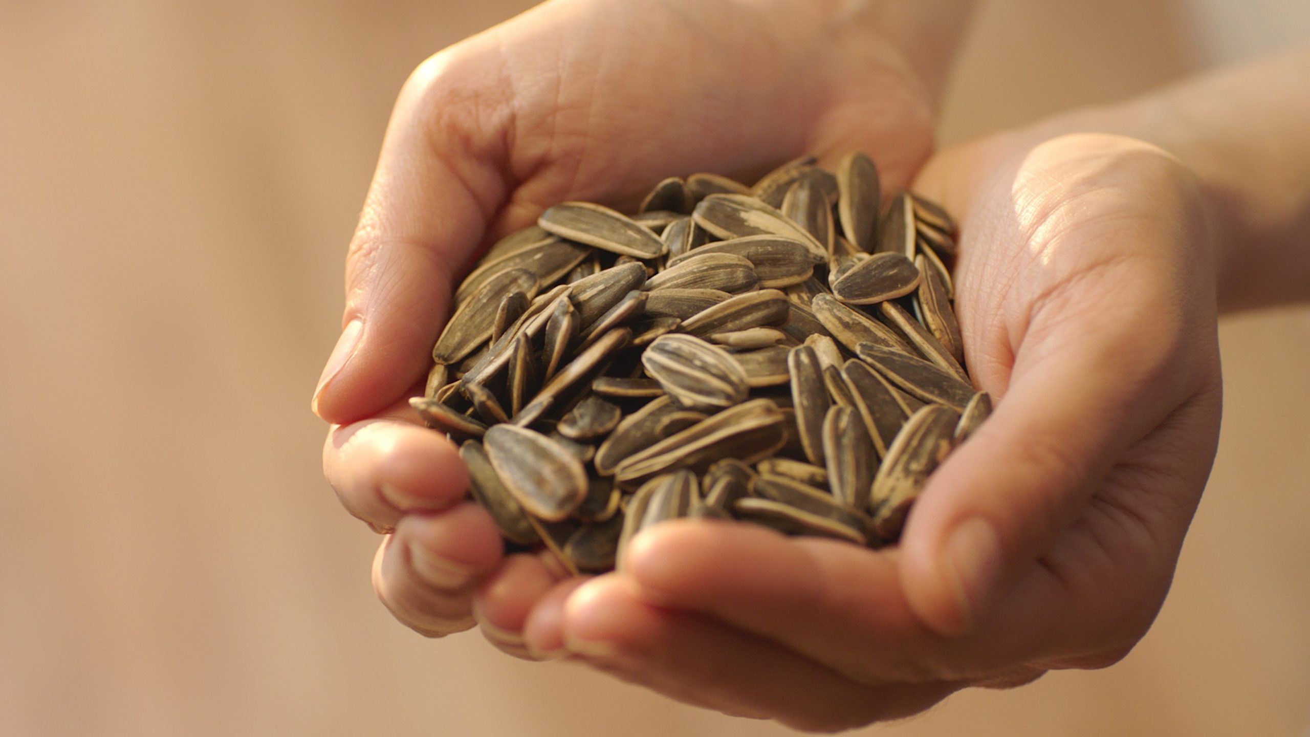 woman holding sunflower seeds - can dogs eat sunflower seeds?