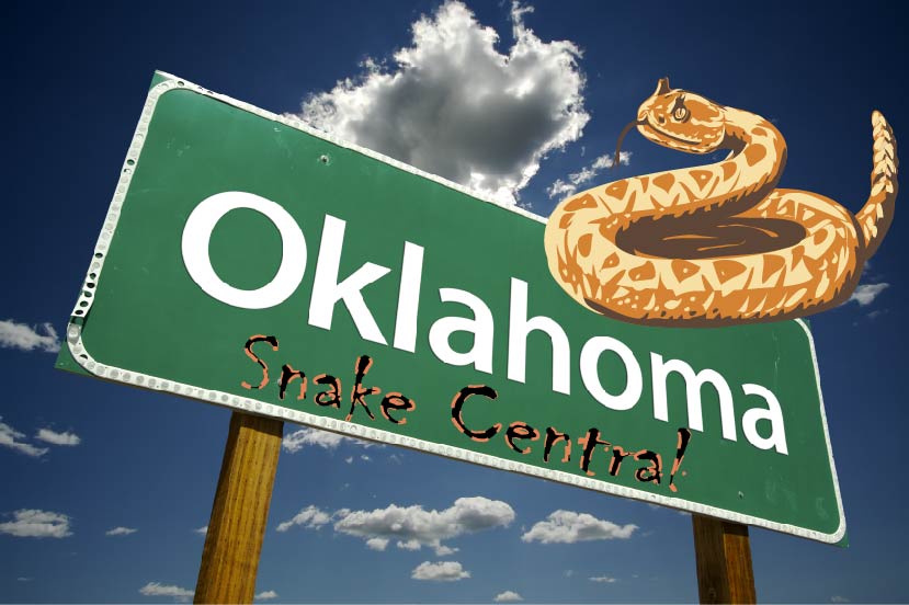 What snakes are found in Oklahoma?
