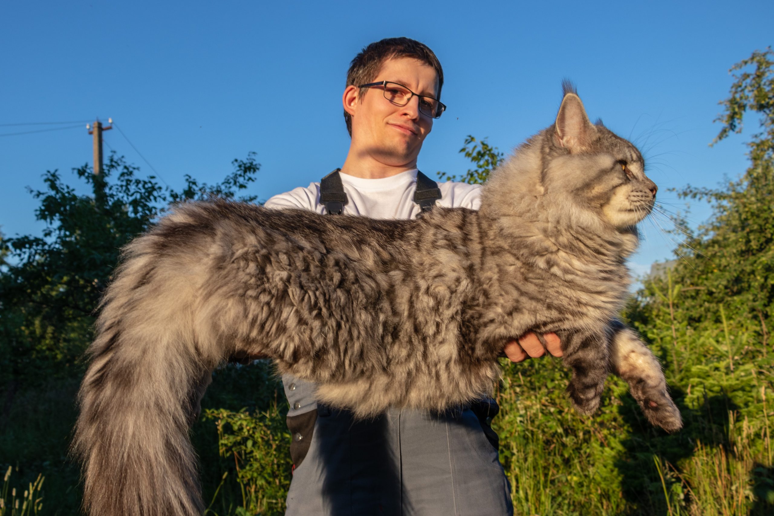 Guy showing the Maine Coon size holding up his large cat