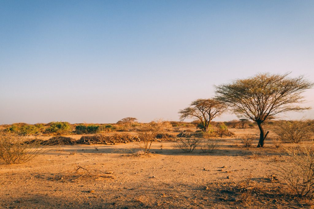 Kenyan desert landscape