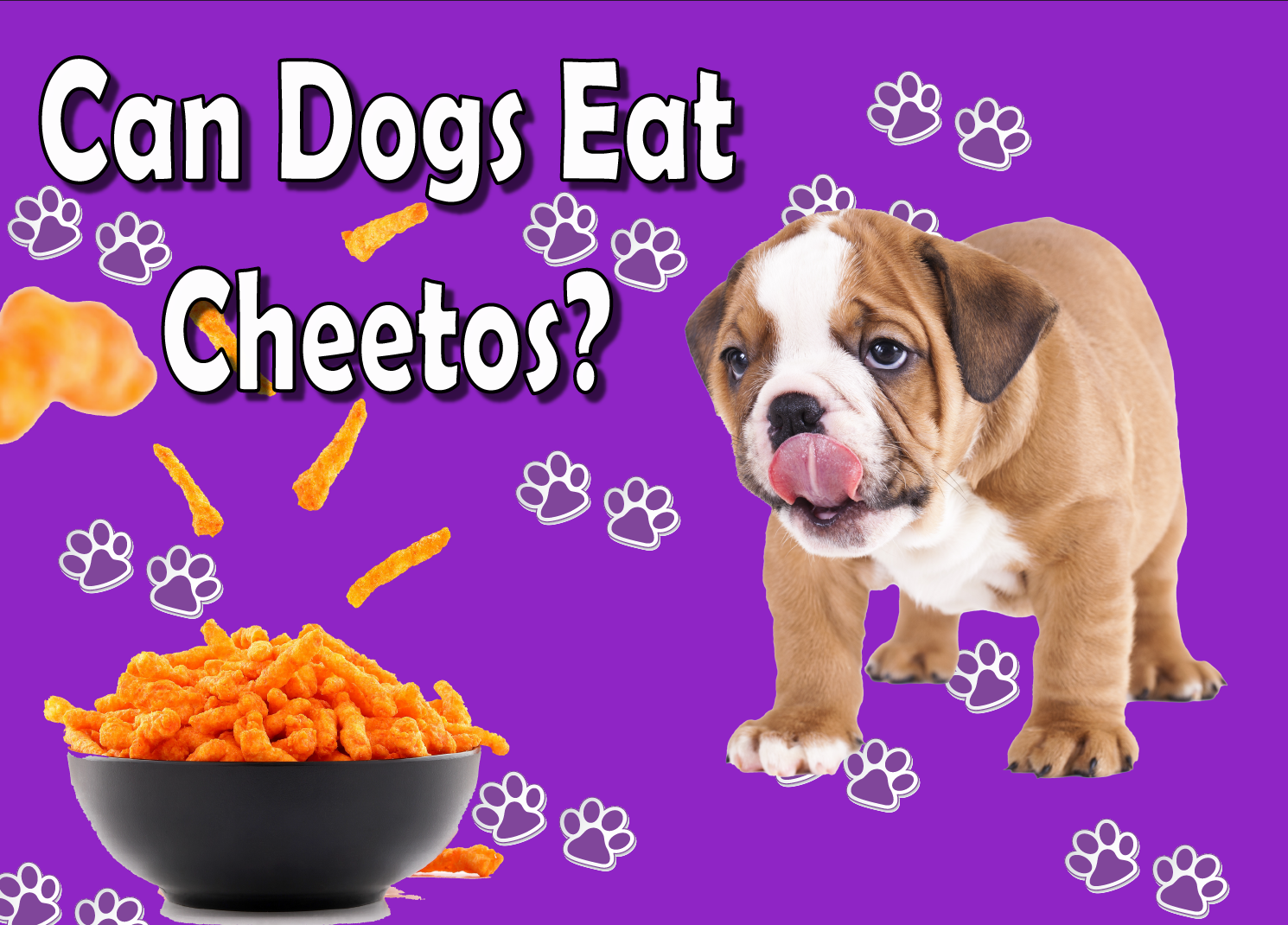 Can Dogs Eat Cheetos?